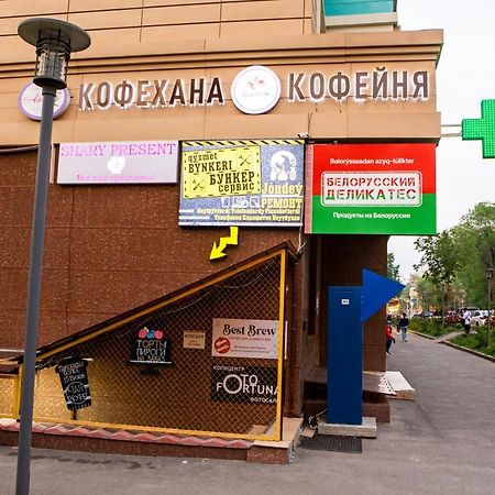 Уютная Студия С Видом На Горы Almati Kültér fotó